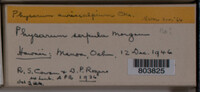 Image Associated With the Occurence